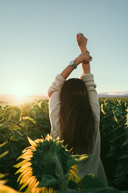 flower, yellow, petal, bloom, garden, plant, nature, autumn, beautiful flowers, fall, flower wallpaper, sunflower, people, woman, morning, flower background, sunflower, sunflower, sunflower, morning, morning, morning, morning, morning