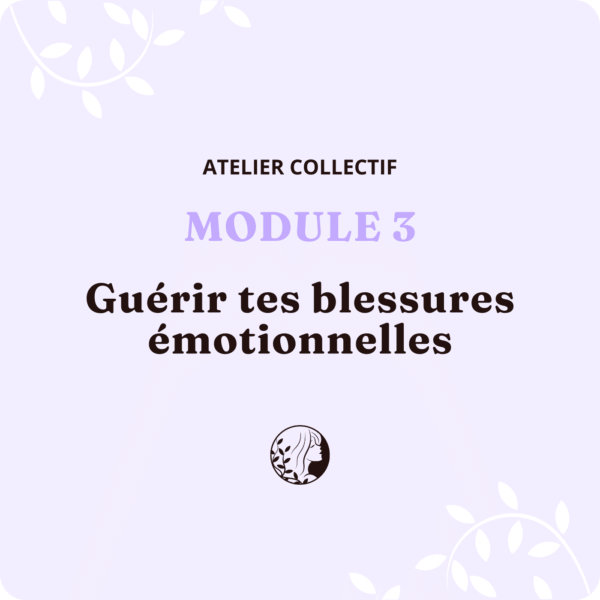 Atelier Collectif - MODULE 3 – Guérir tes blessures émotionnelles
